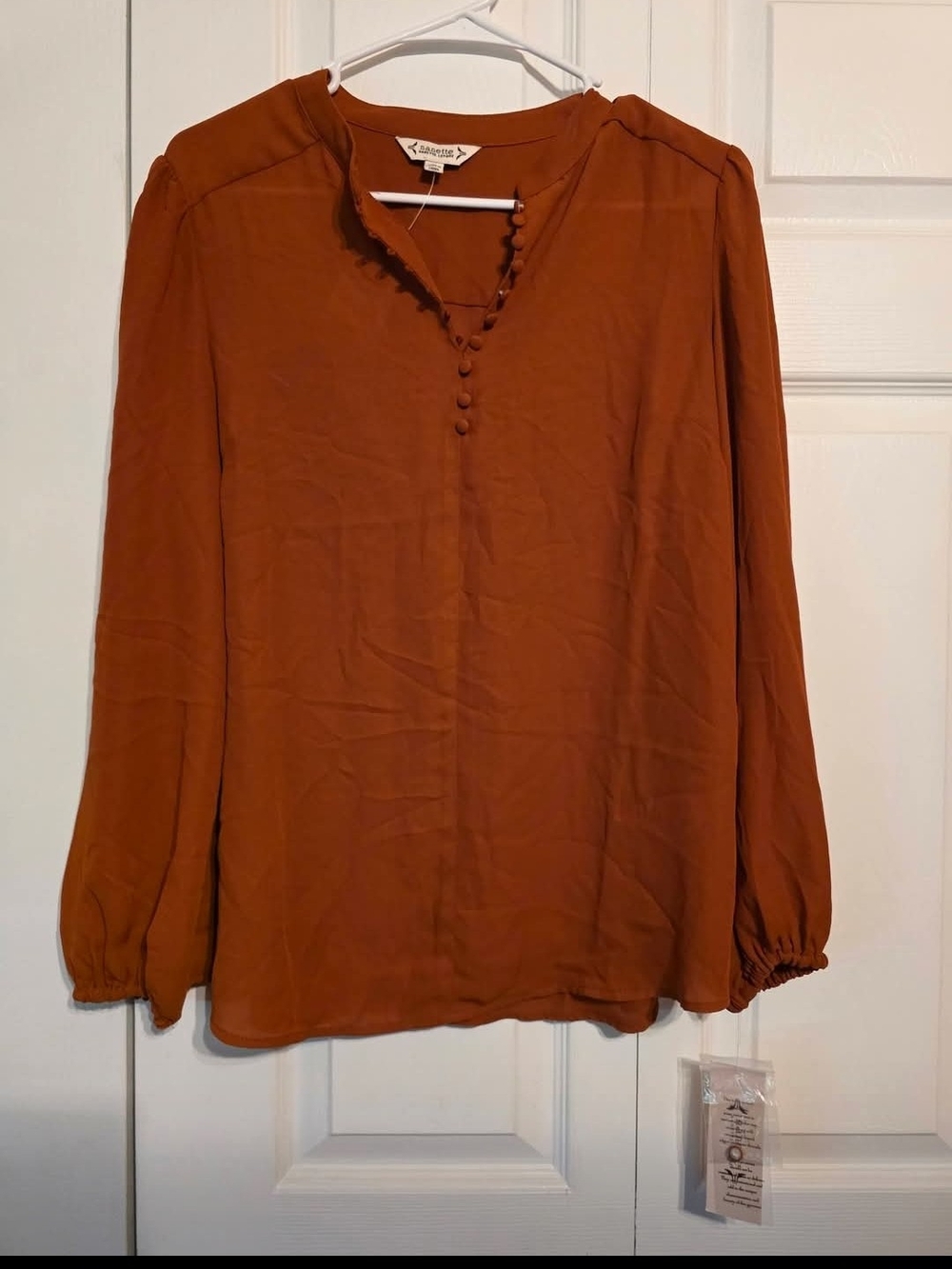 Button-Front Long-Sleeve Blouse in Rust